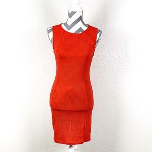 H & M Bodycon Dress